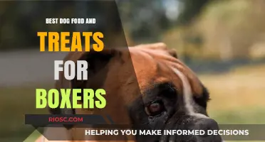 Nutrition for Your Energetic Companion: Top Dog Food and Treats for Boxers