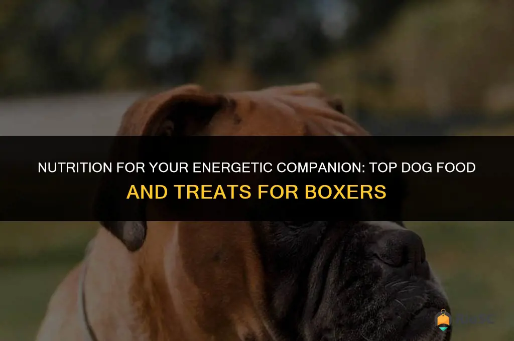 best dog food and treats for boxers