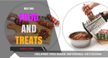 Top Picks for Your Furry Friend: Best Dog Food and Treats