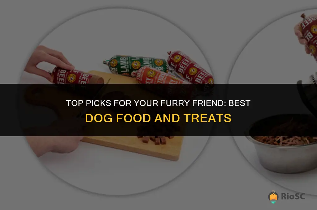 best dog food and treats