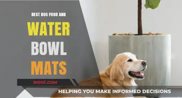Top Picks for Your Pooch: The Best Dog Food and Water Bowl Mats for a Mess-Free Mealtime