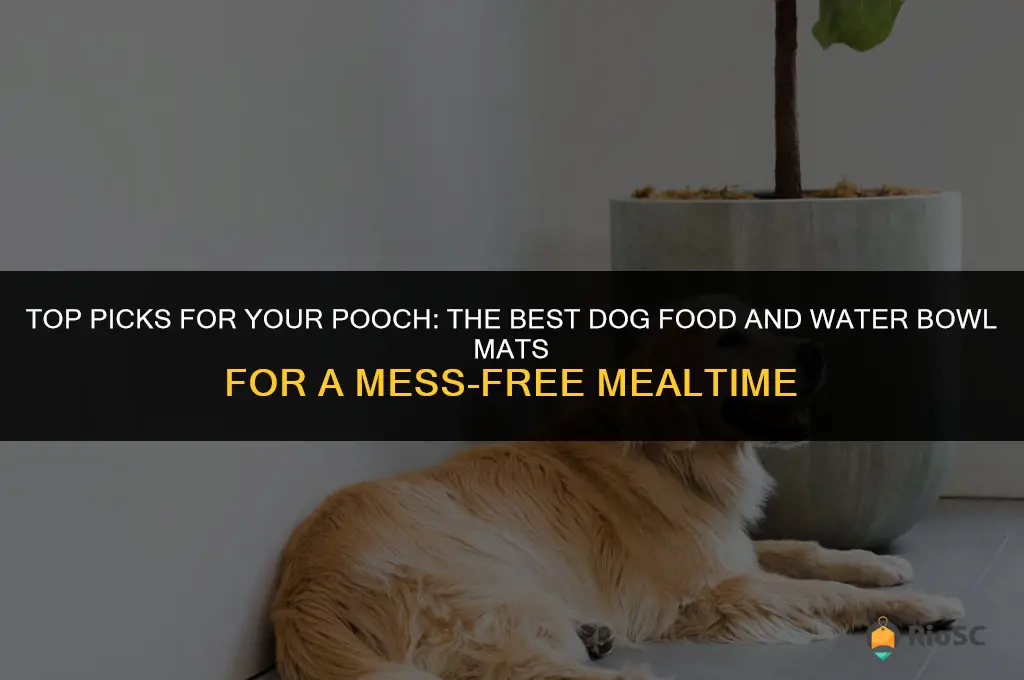 best dog food and water bowl mats