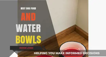 Top Picks for Dog Food and Water Bowls: Durable, Safe, and Stylish Options for Your Furry Friend
