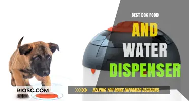 Top Picks for Your Furry Friend: Best Dog Food and Water Dispensers of 2024