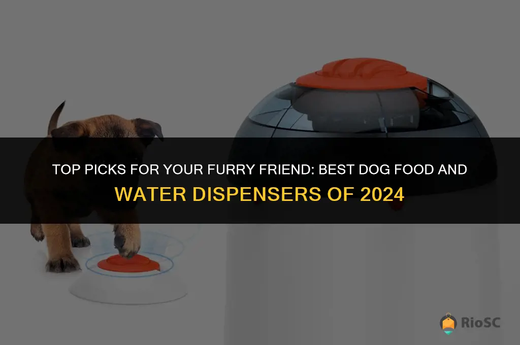 best dog food and water dispenser