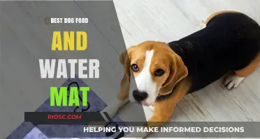 Top Picks for Your Pooch: The Best Dog Food and Water Mat Combos