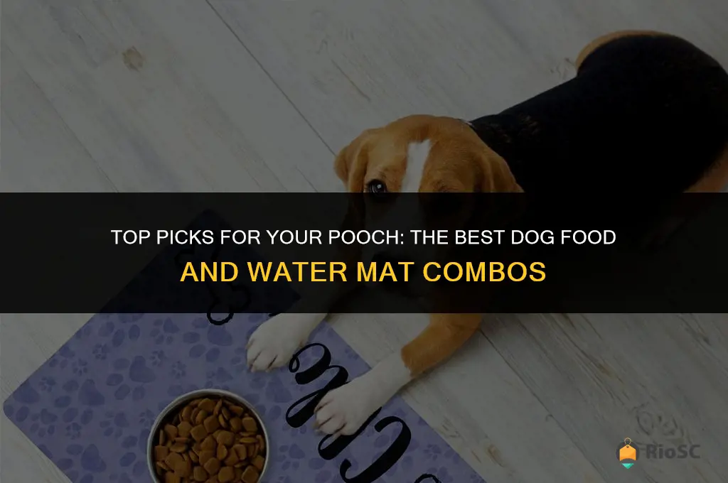 best dog food and water mat