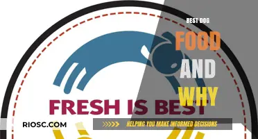 Top-Rated Dog Food: Nutritional Excellence for Your Furry Friend