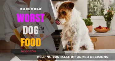 Paws and Reflect: A Tail of Two Dog Foods - The Best and Worst Picks for Your Furry Friend