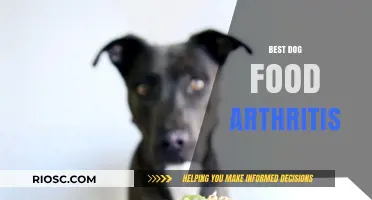 Top Picks for Arthritis-Friendly Dog Food: A Comprehensive Guide