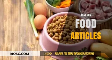 Top Picks for Your Furry Friend: A Comprehensive Guide to the Best Dog Food Articles
