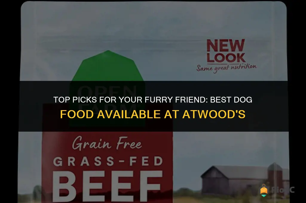 best dog food at atwoods