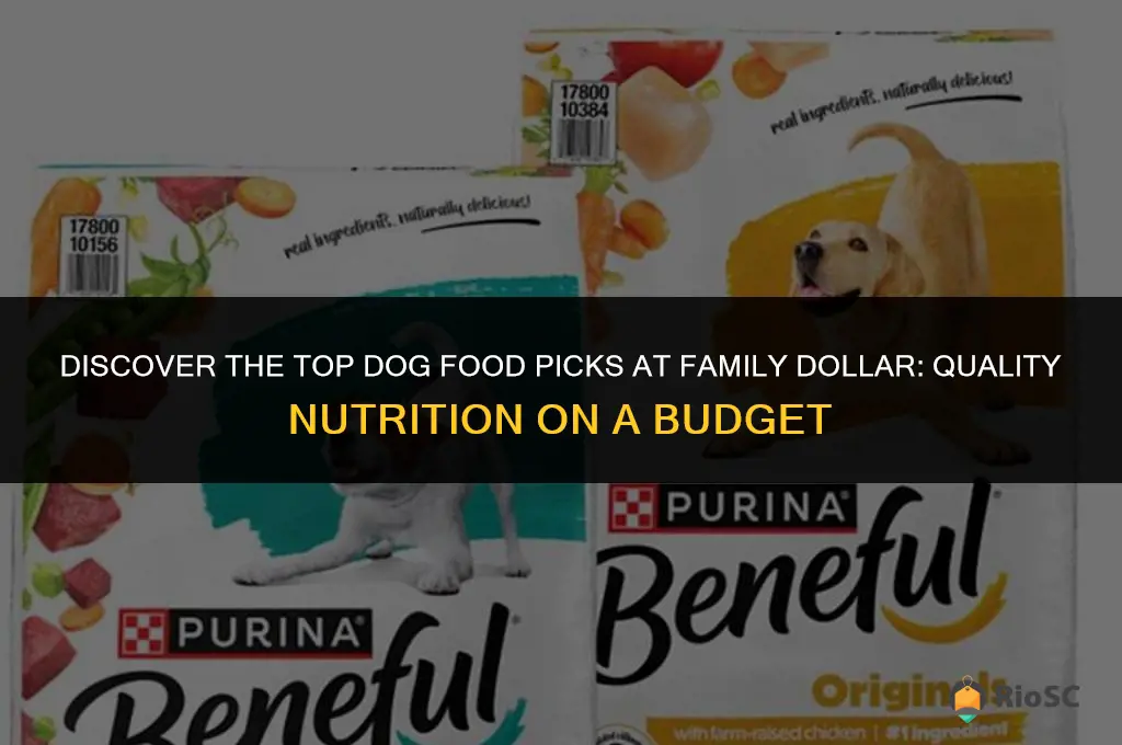 best dog food at family dollar