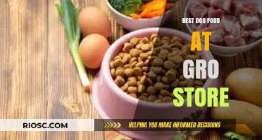 Top Picks for Your Furry Friend: The Best Dog Food Available at Your Local Grocery Store