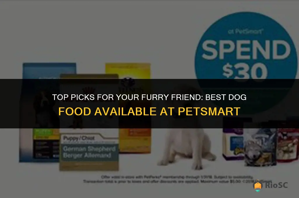 best dog food at pet smart
