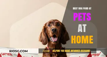 Top Picks for Your Furry Friend: Best Dog Food Available at Pets at Home