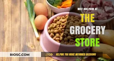 Top Picks for Your Pooch: The Best Dog Food Options Available at Your Local Grocery Store