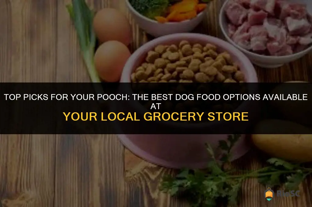 best dog food at the grocery store