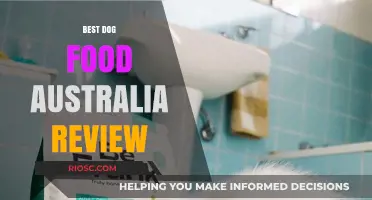 Top-Rated Dog Foods in Australia: A Comprehensive Review for Pet Owners