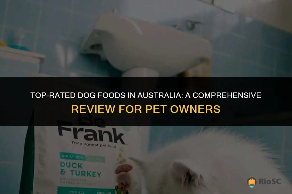 best dog food australia review
