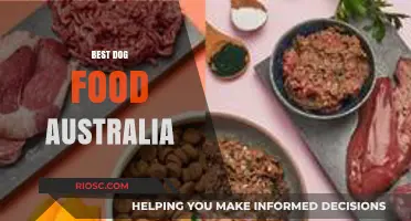 Top-Rated Dog Food Brands in Australia: Nutritious and Delicious Options for Your Furry Friend