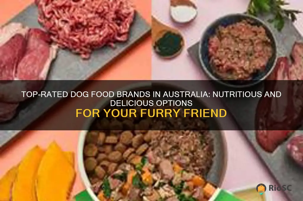 best dog food australia