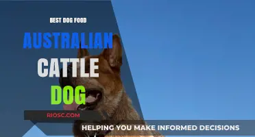 Top Nutrition Picks: Fueling Your Australian Cattle Dog for Optimal Health and Performance