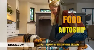 Top Picks for Your Furry Friend: The Best Dog Food Autoship Services