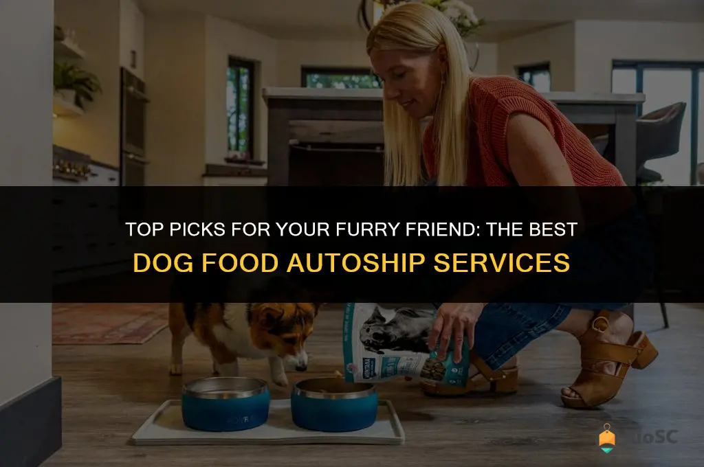 best dog food autoship