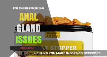 Top Picks for Dog Food to Support Anal Gland Health