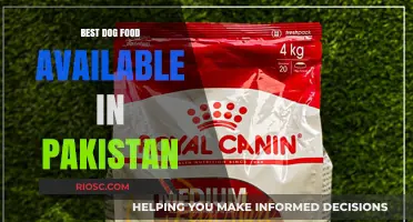 Top-Rated Dog Food Options in Pakistan: A Comprehensive Guide for Pet Owners