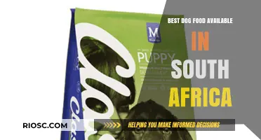 Top-Rated Dog Food Options in South Africa: A Comprehensive Guide for Pet Owners