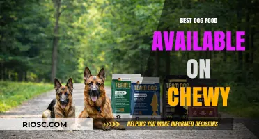 Top Picks for Your Furry Friend: The Best Dog Food Options on Chewy