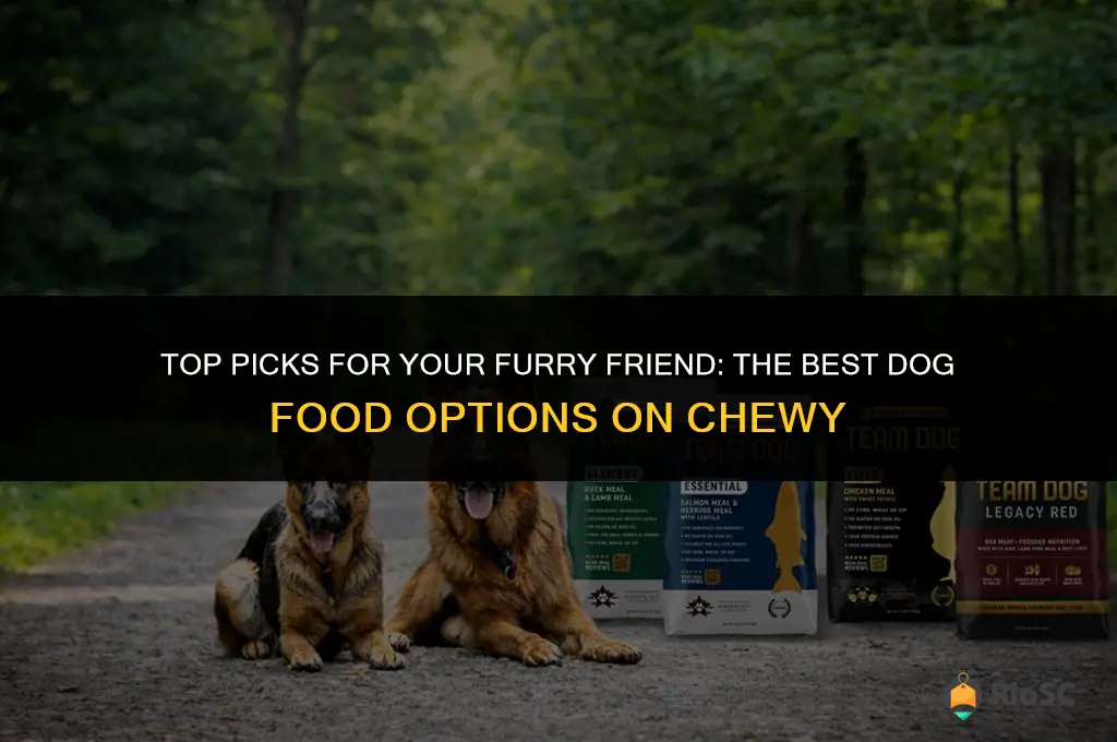 best dog food available on chewy