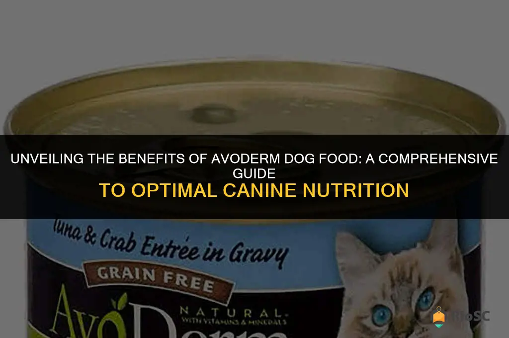 best dog food avoderm