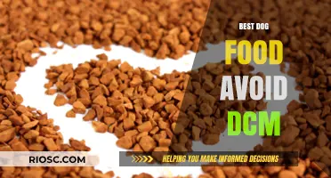 Top Picks for Heart-Healthy Dog Food: Steering Clear of DCM Concerns
