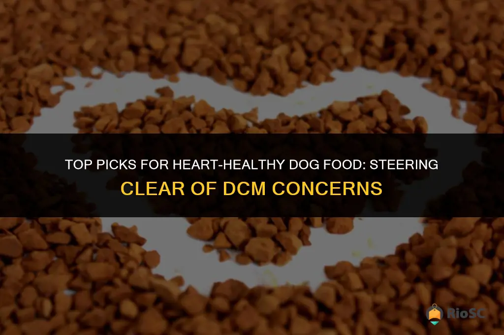 best dog food avoid dcm
