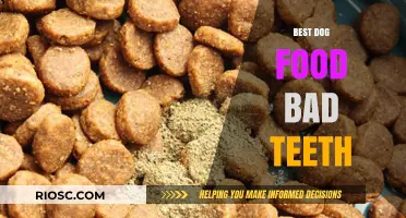Nutrition for Canine Dental Health: Finding the Best Dog Food to Combat Bad Teeth