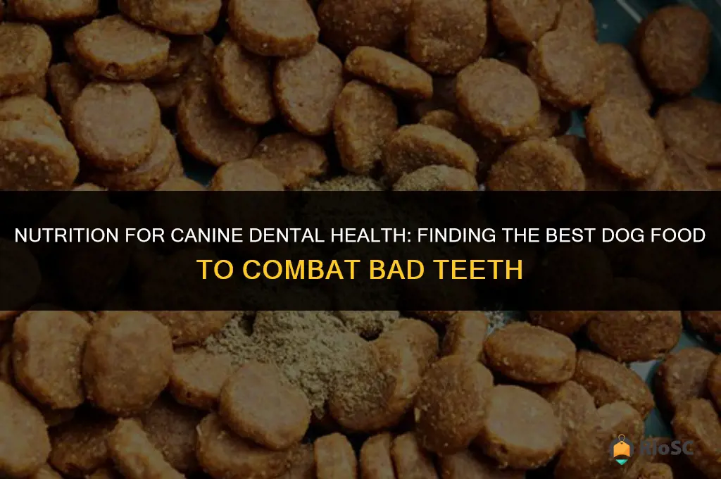 best dog food bad teeth
