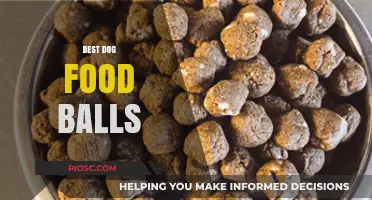 Top Picks for Your Pup: The Best Dog Food Balls to Keep Them Entertained and Nourished