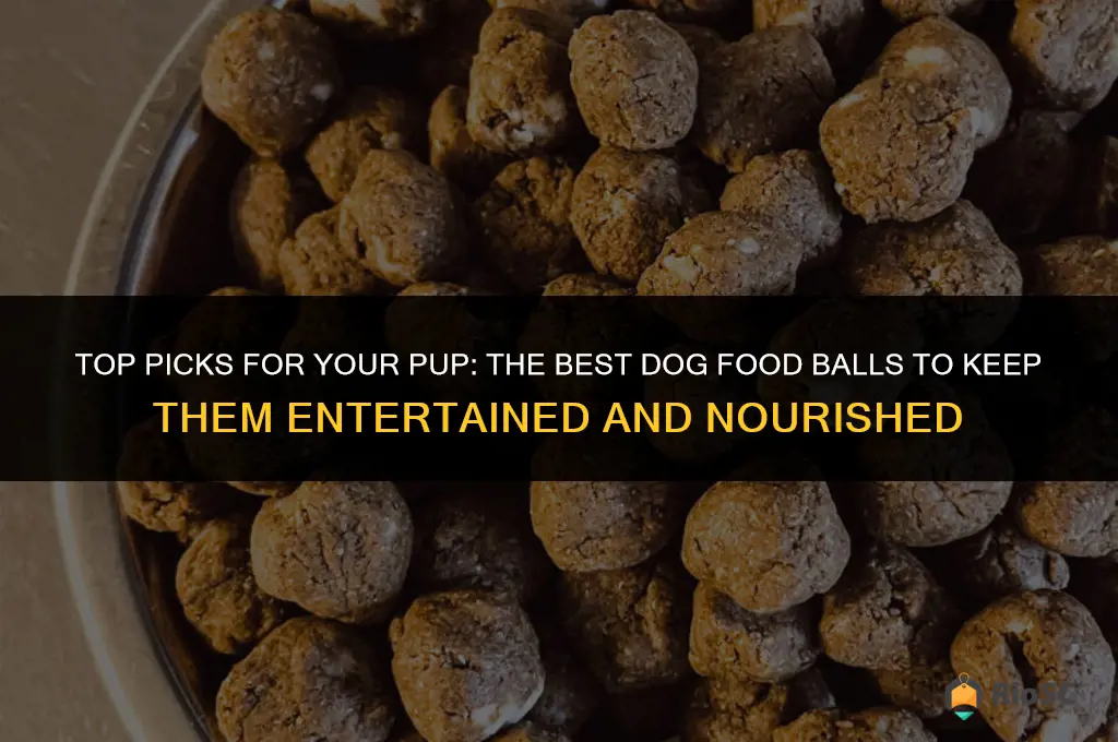 best dog food balls