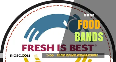 Top-Rated Dog Food Brands: A Comprehensive Guide for Pet Owners
