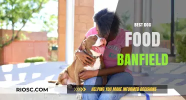 Top Picks for Your Pup: Banfield's Best Dog Food Recommendations