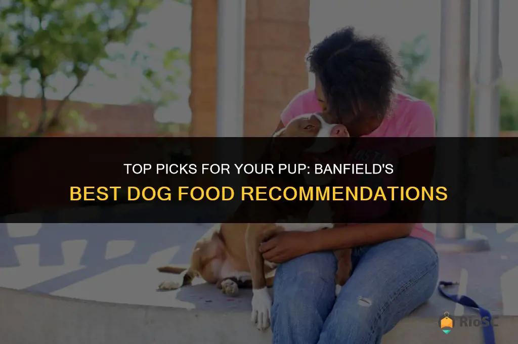 best dog food banfield