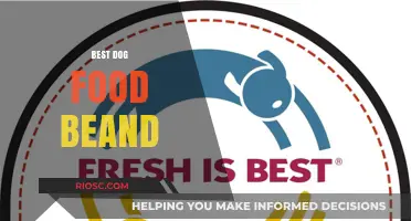 Top-Rated Dog Food Brands: A Comprehensive Guide for Pet Owners