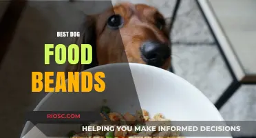 Top-Rated Dog Food Brands: A Comprehensive Guide for Pet Owners