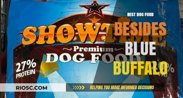 Exploring Premium Dog Food Alternatives to Blue Buffalo