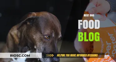 Top Picks for Your Furry Friend: The Ultimate Guide to Choosing the Best Dog Food