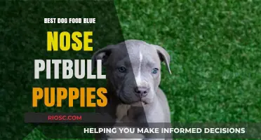 Nourishing Blue Nose Pitbull Puppies: A Guide to the Best Dog Food for Optimal Health and Growth