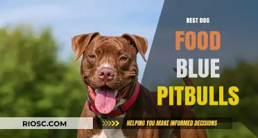 Top-Rated Dog Food Options for Blue Pitbulls: A Comprehensive Guide